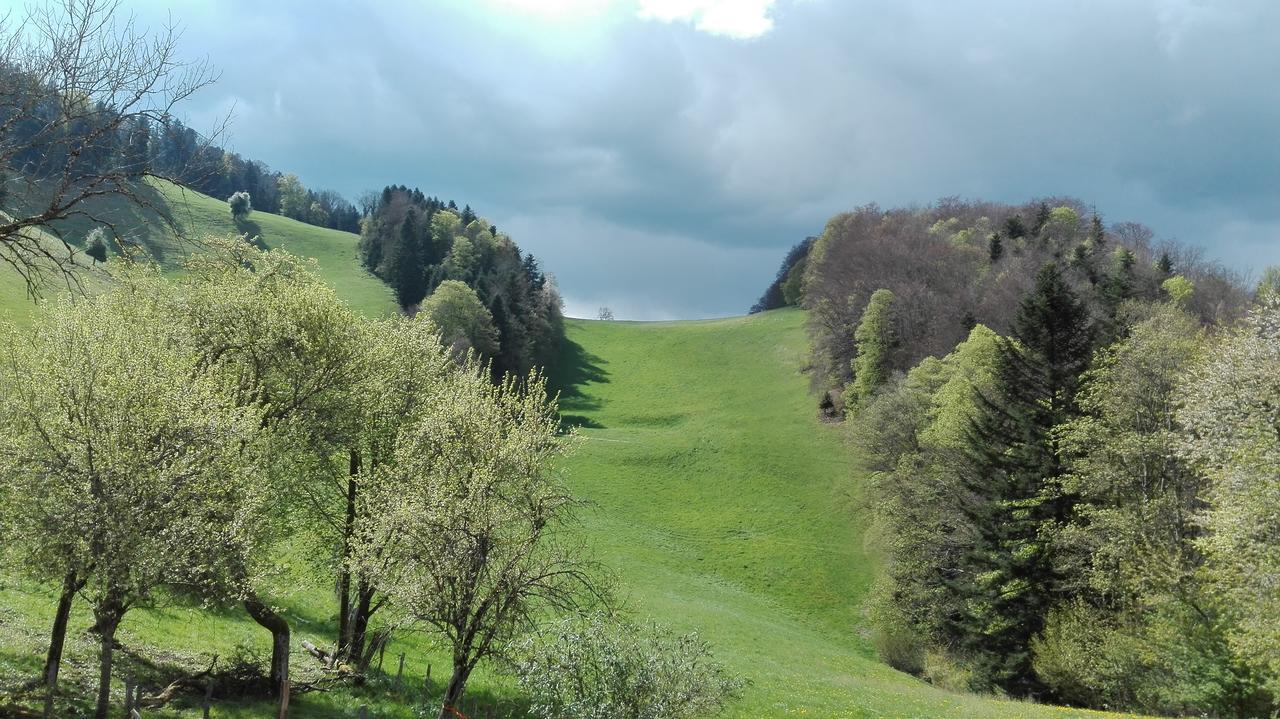 La Joux Chaupe Apartment Saint-Ursanne Luaran gambar