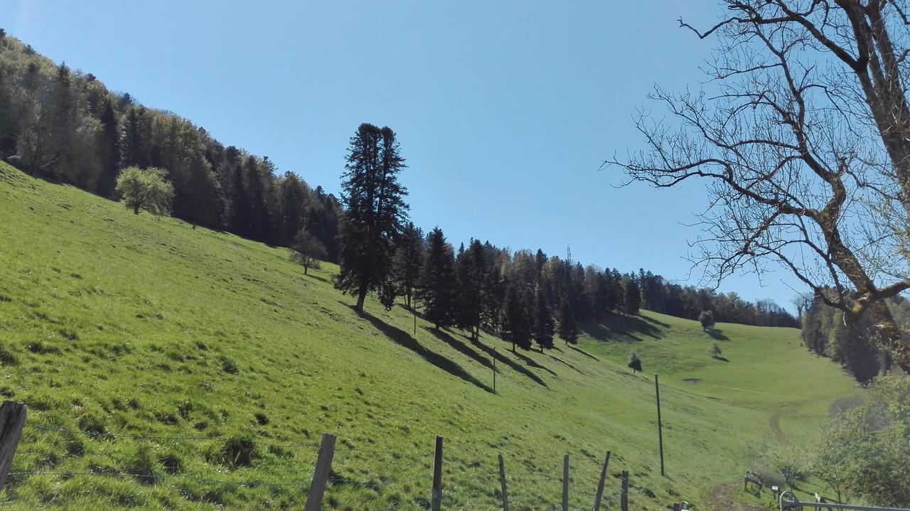 La Joux Chaupe Apartment Saint-Ursanne Luaran gambar